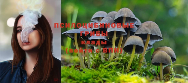 ECSTASY Абаза