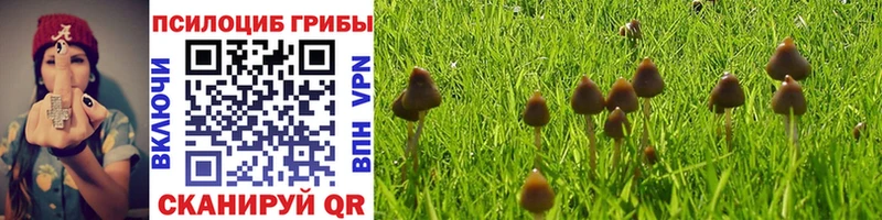 Галлюциногенные грибы Psilocybine cubensis  Каменка 